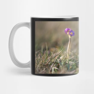 Primula Scotica Mug